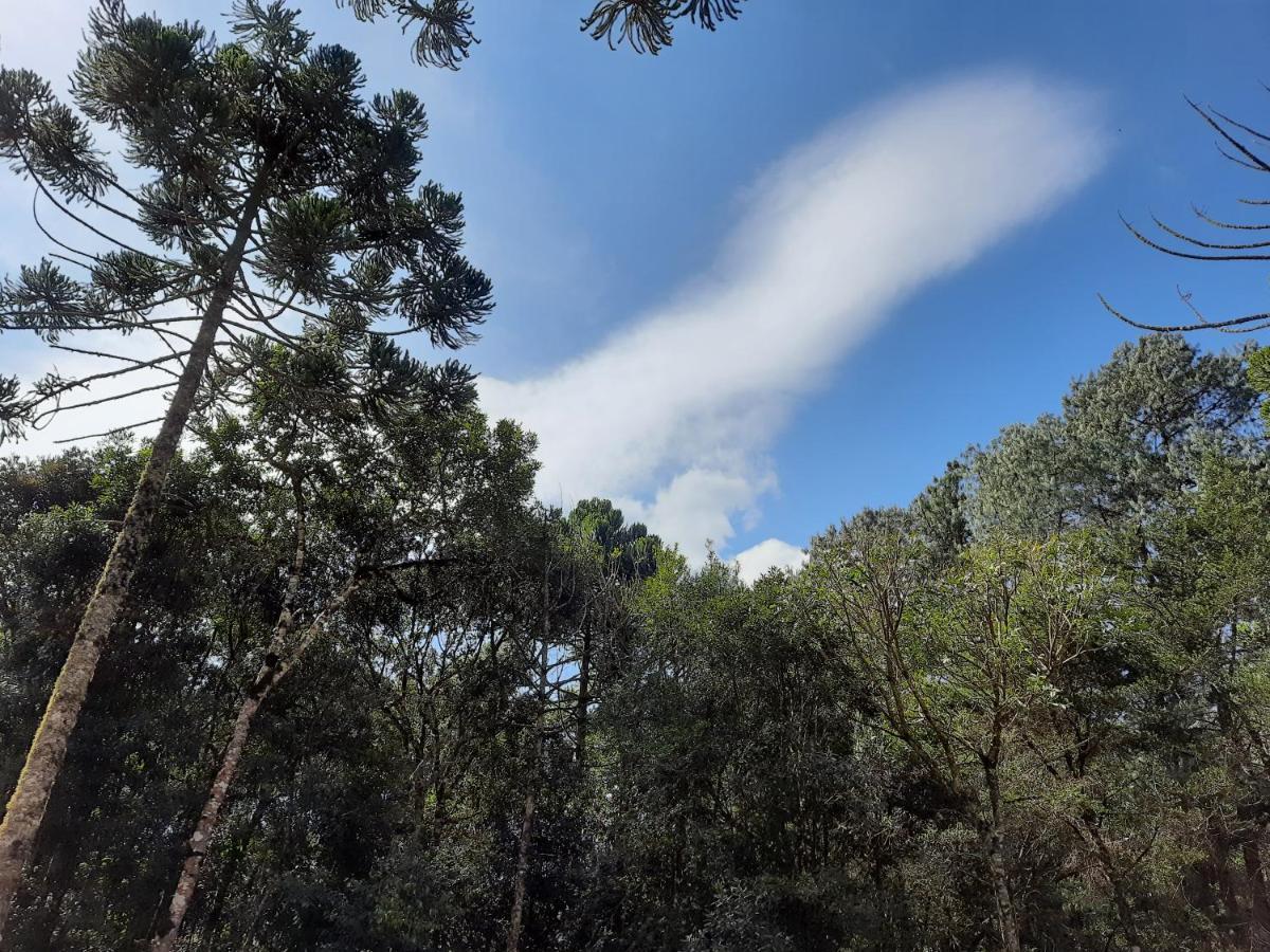 Pousada Bruxa Marela Monte Verde  Εξωτερικό φωτογραφία
